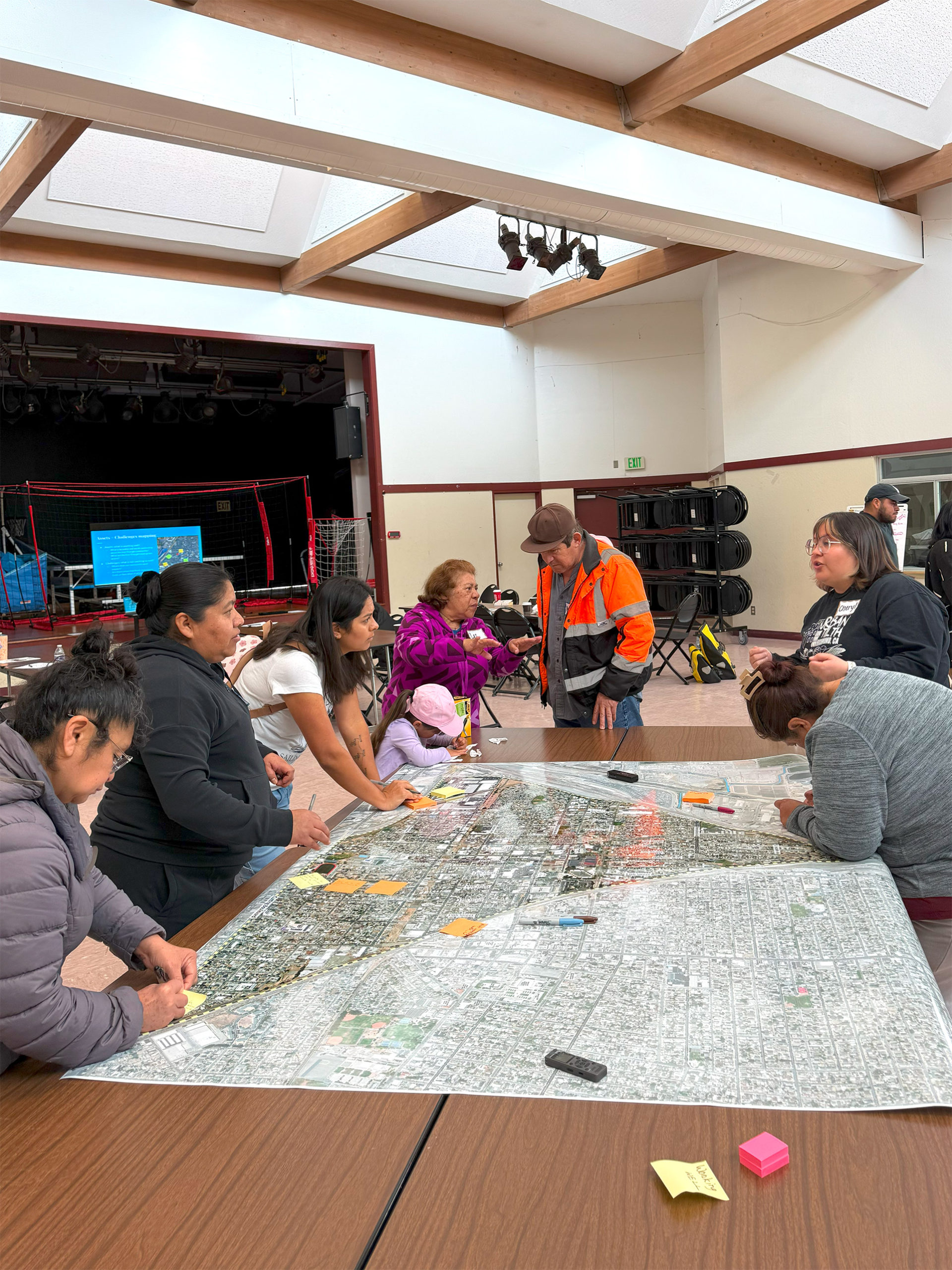 Community Greening and Resilience: Workshop II