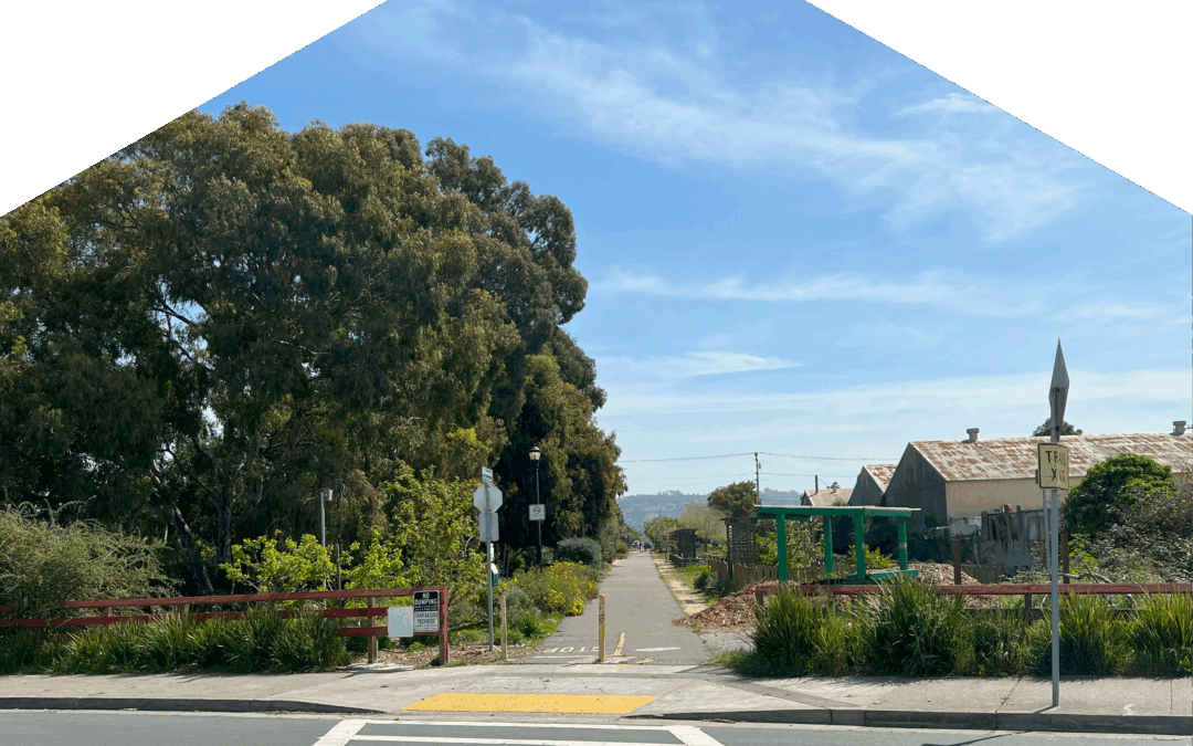 Richmond Community Greening and Resilience: Workshop VI